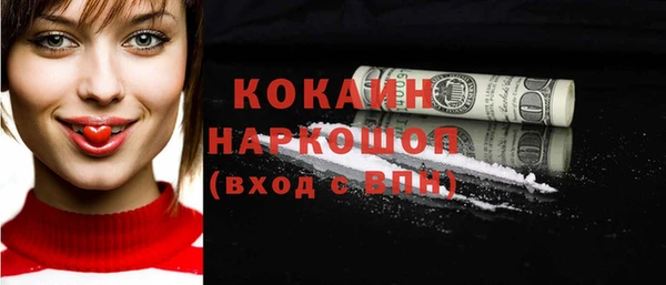твердый Инсар