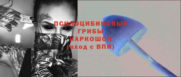 а пвп мука Инта