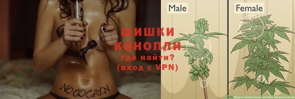 твердый Инсар