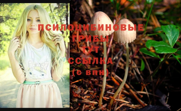 а пвп мука Инта