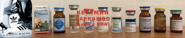 твердый Инсар