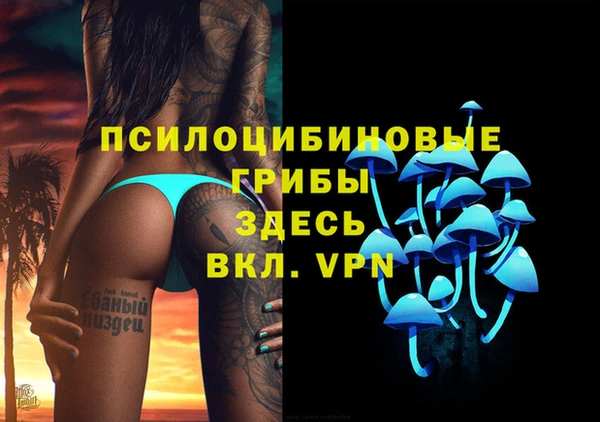 твердый Инсар
