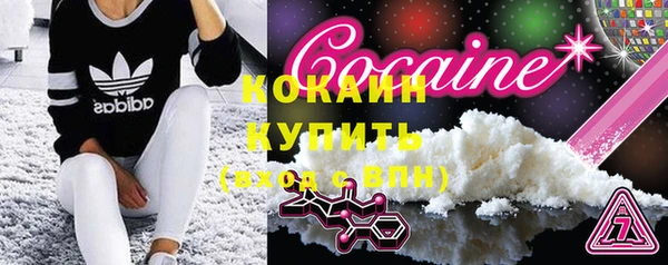 твердый Инсар