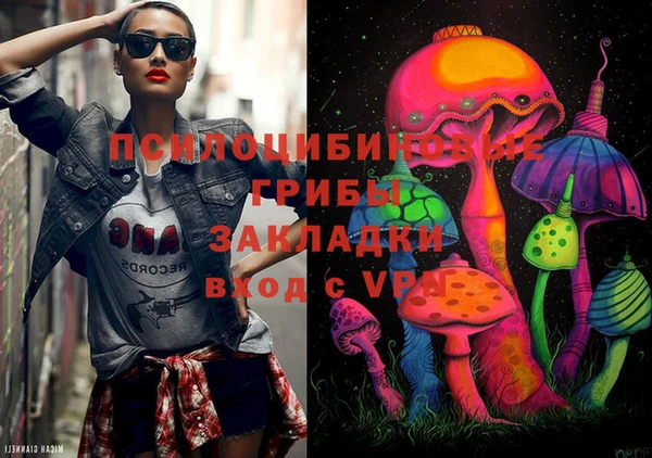 а пвп мука Инта