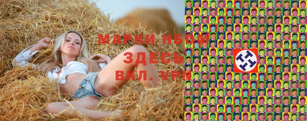твердый Инсар