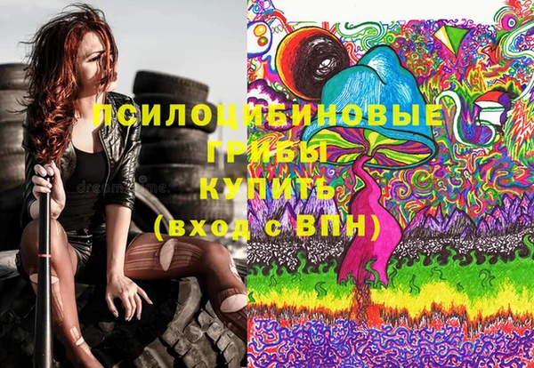 а пвп мука Инта